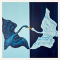 The Winter Swan
